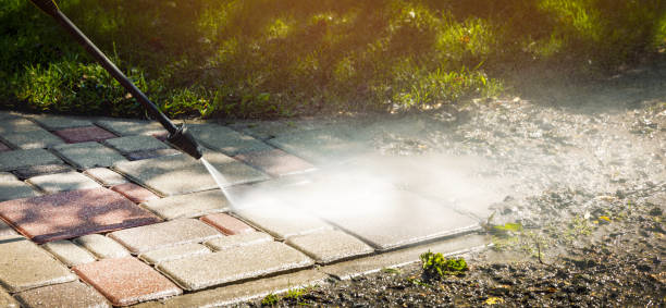 Best Roof Cleaning and Mildew Removal in Dranesville, VA